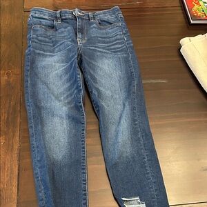 American Eagle Outfitters Dark Blue Skinny Jeans